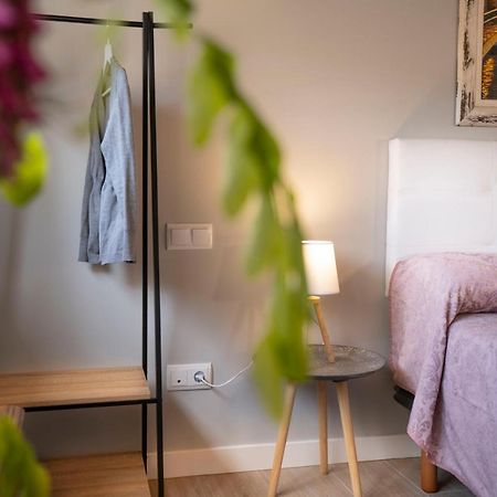 Apartamentos Terraza Ega Естелья Екстер'єр фото